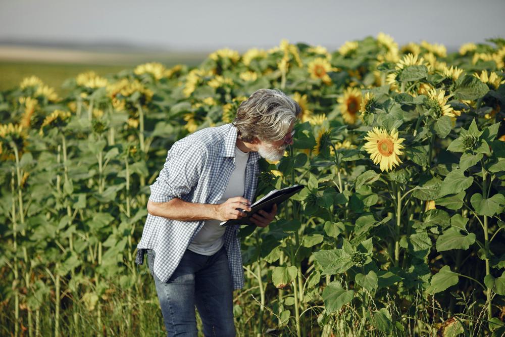 crop inspection