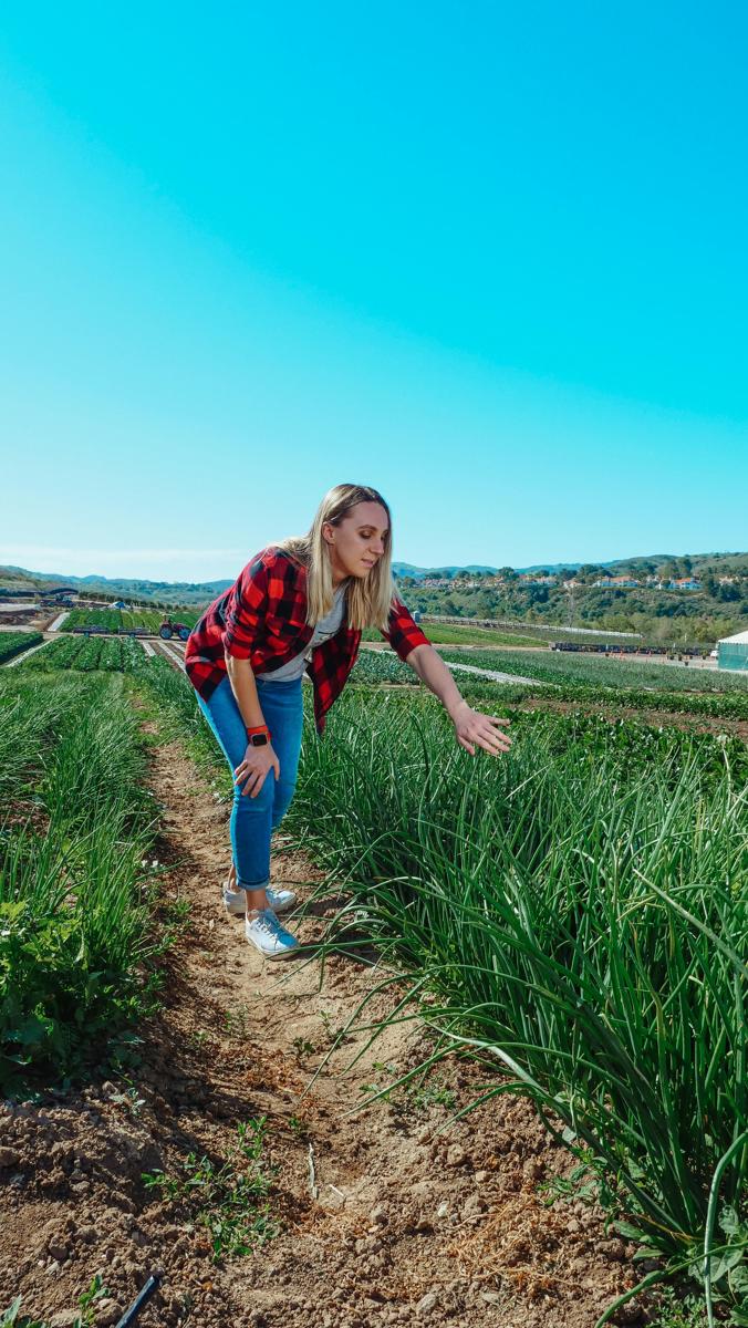 crop inspection