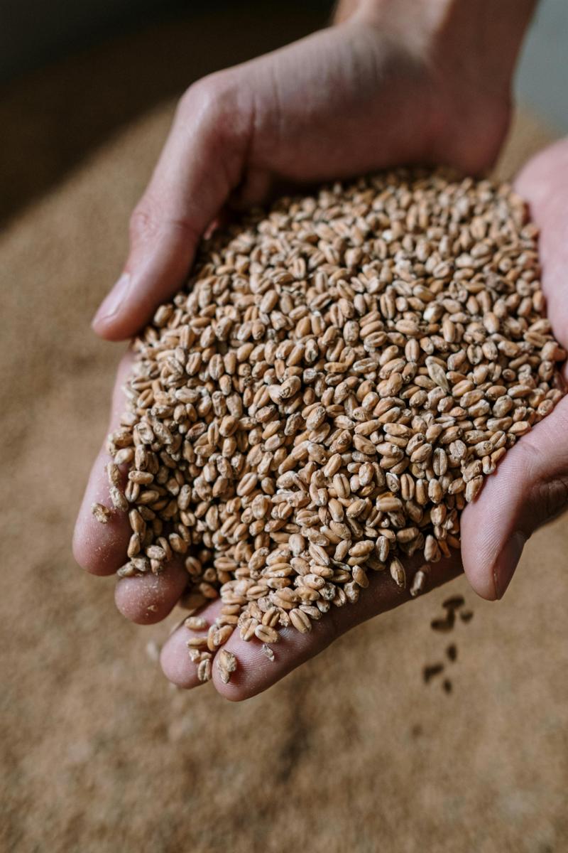 grain storage