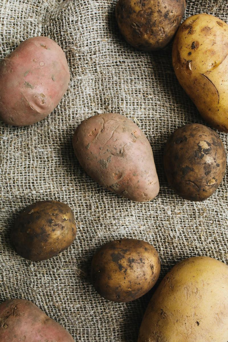 potato farming